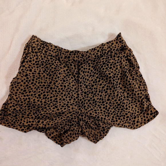 Leopard Print Shorts - Picture 1 of 3